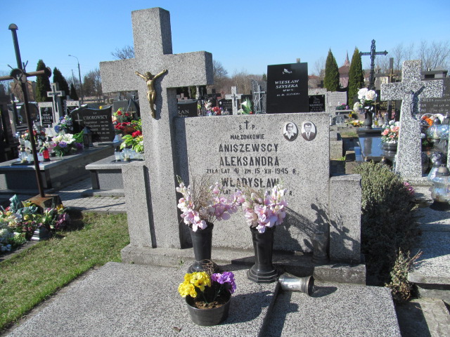 Grób Aleksandra Aniszewska