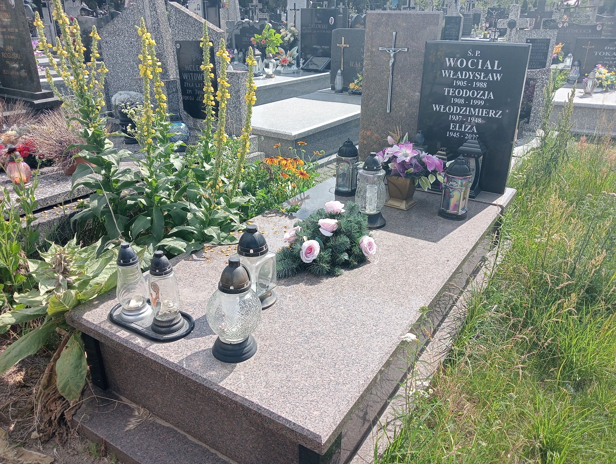 Grób Marianna Wocial