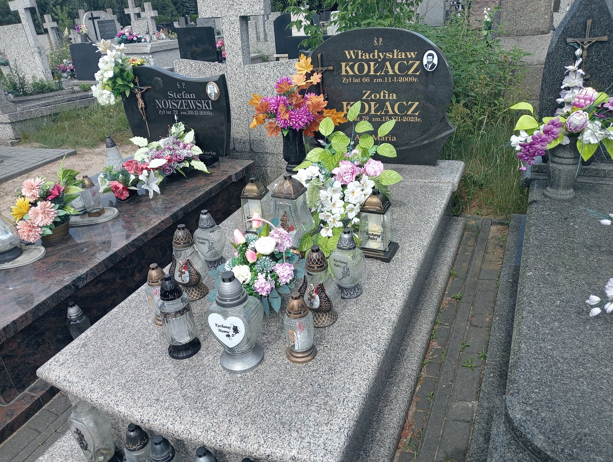 Grób Zofia Marianna Kołacz