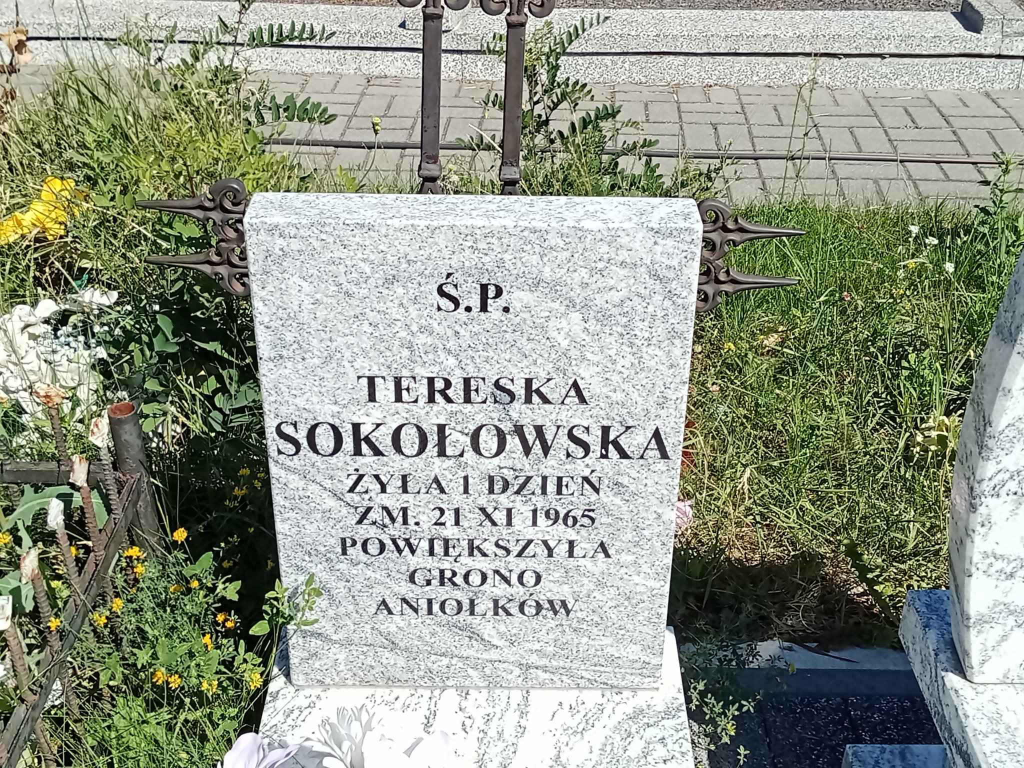 Teresa Sokołowska Kałuszyn - Grobonet - Wyszukiwarka osób pochowanych